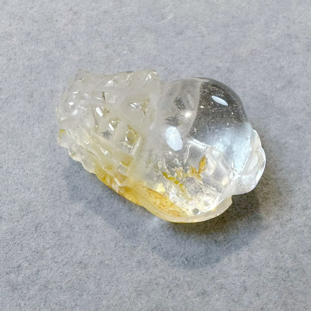 60003 黃膠花龍龜